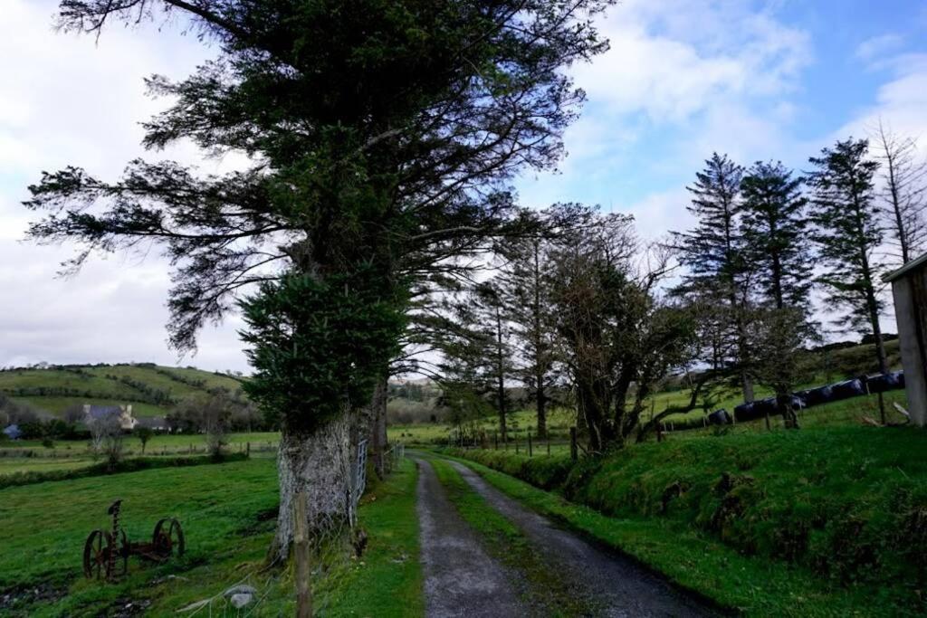 Meenadreen Cottage Donegal Town Екстериор снимка
