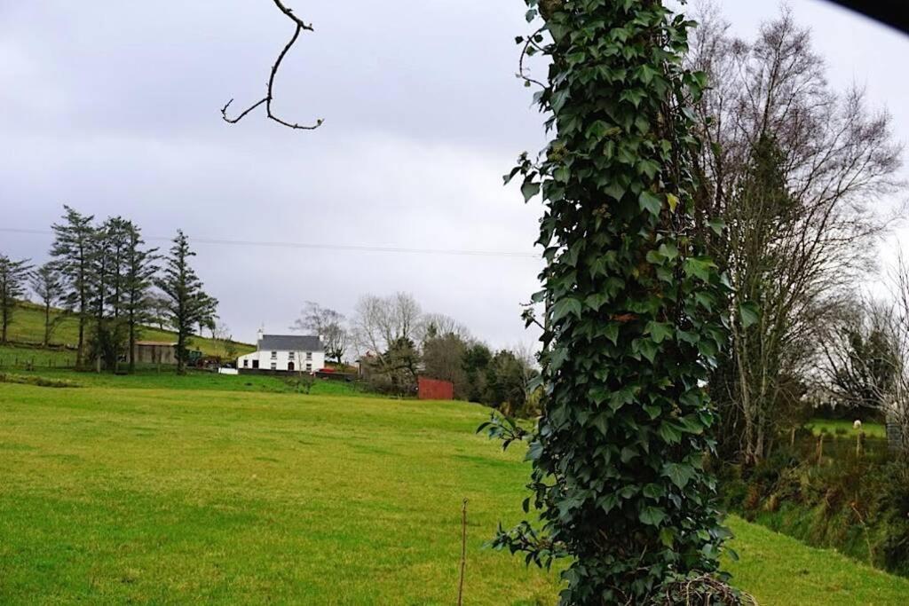 Meenadreen Cottage Donegal Town Екстериор снимка