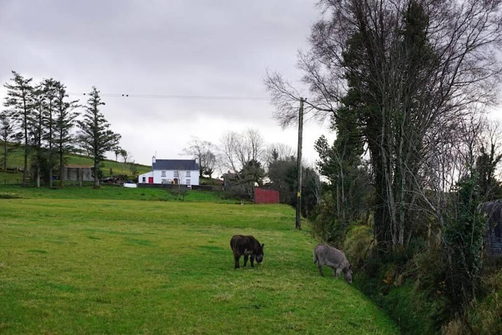 Meenadreen Cottage Donegal Town Екстериор снимка